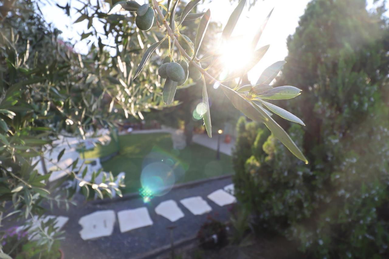 Morad Haharbel - Boutique Resort Exteriér fotografie